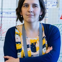 Екатерина Илларионова